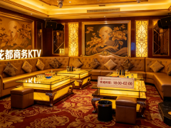 <b>杭州有哪些档次高的ktv-杭</b>